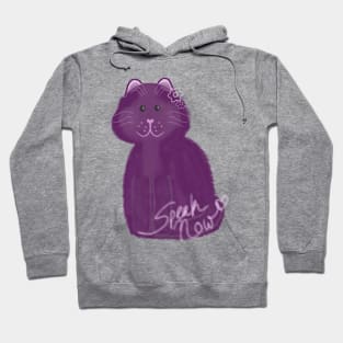 Karma is a Cat - Speak Now Era Hoodie